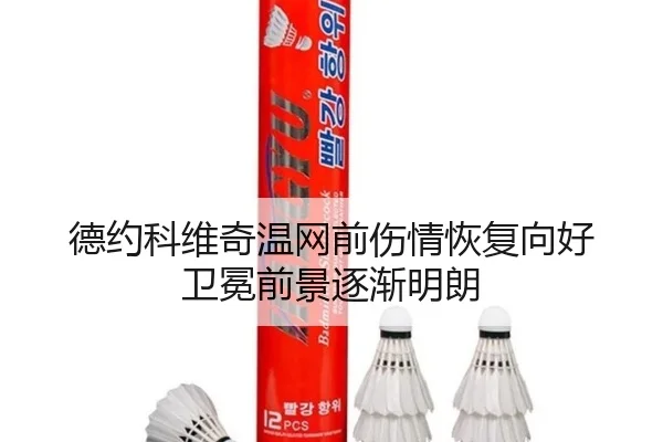 德约科维奇温网前伤情恢复向好 卫冕前景逐渐明朗